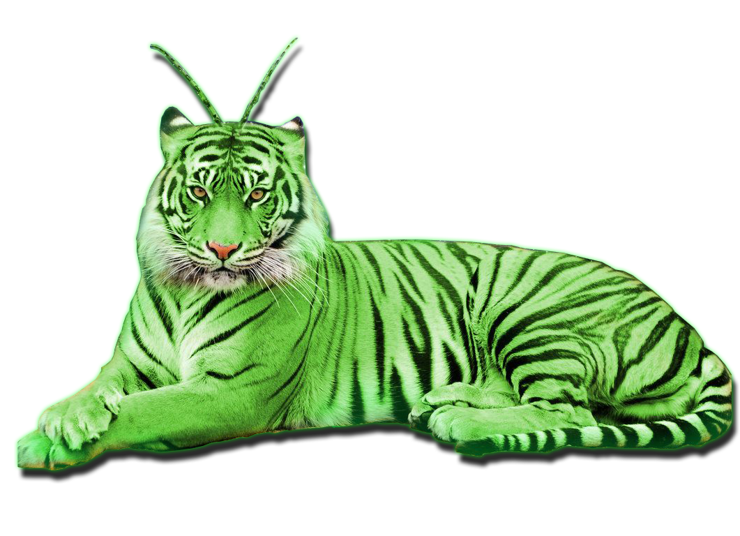 ALIEN TIGER MASTER